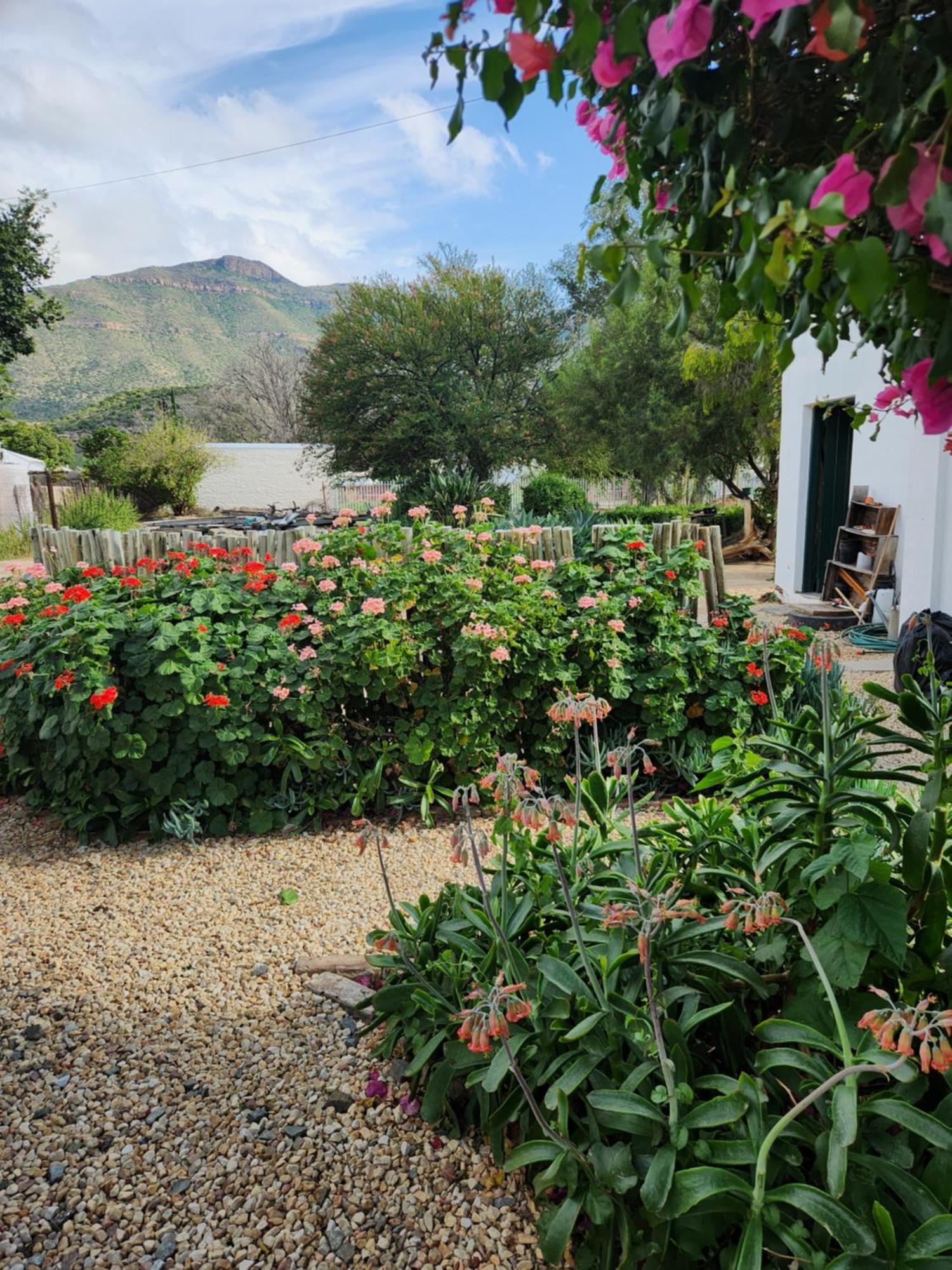 Die Dorpshuis Graaff Reinet Bagian luar foto